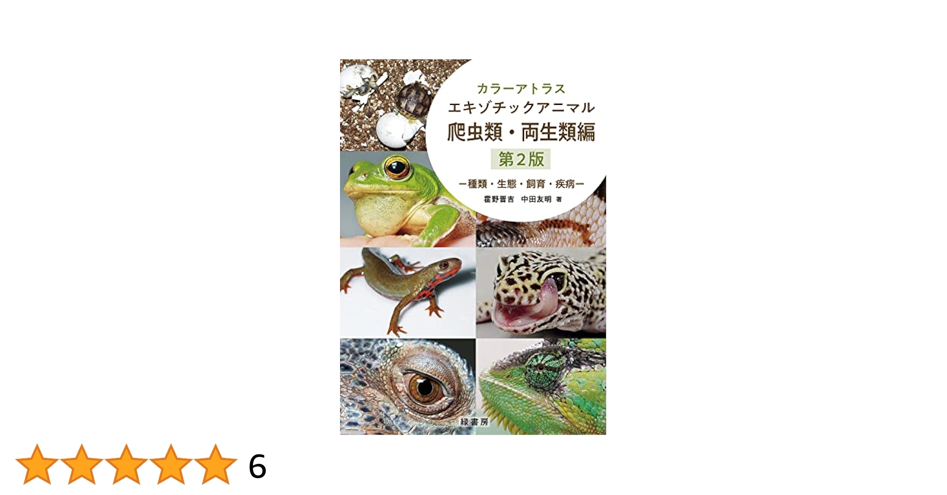洋書　爬虫類・両生類　アトラス　大型本 洋書 爬虫類・両生類 アトラス 大型本
